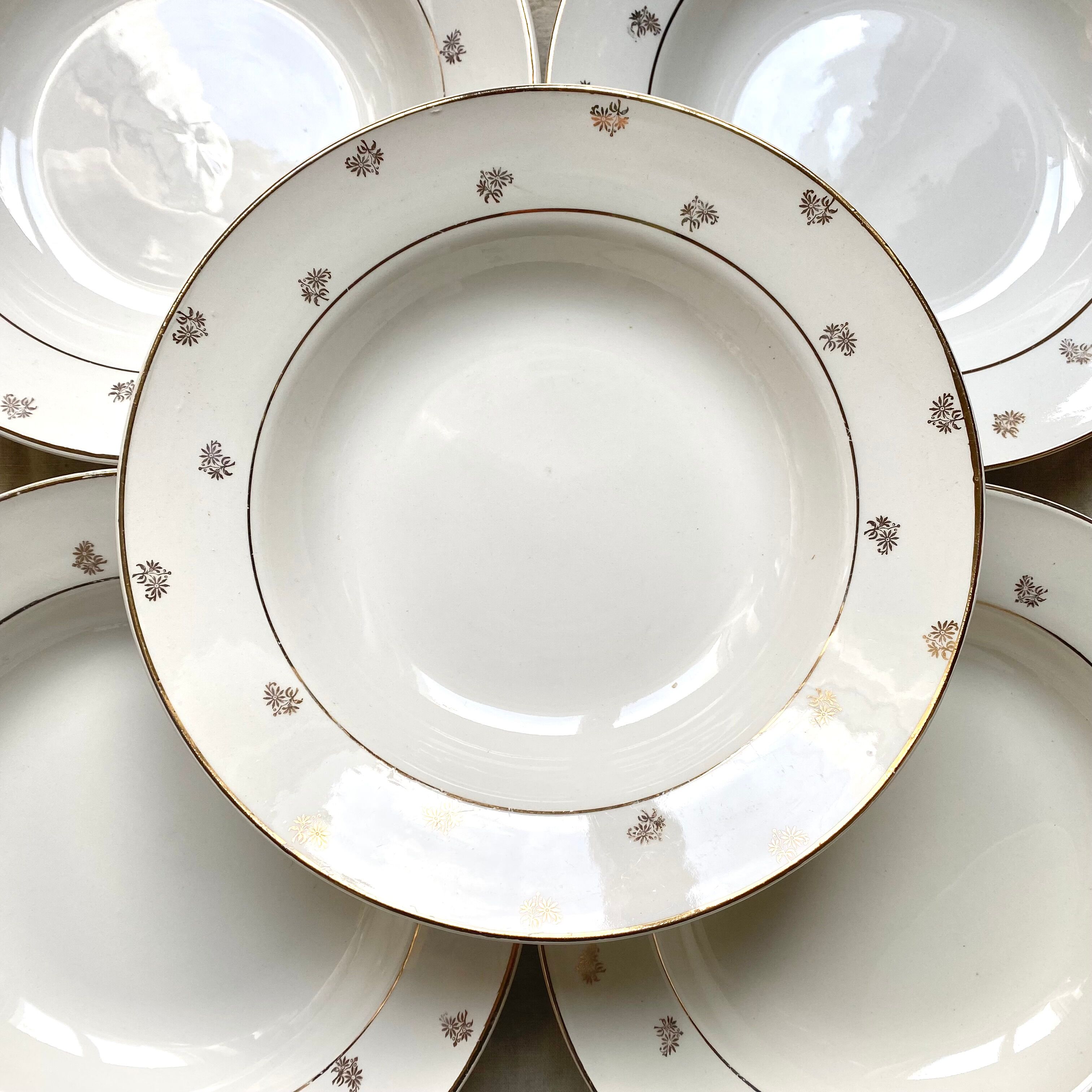 Digoin Sarreguemines hollow plates 16