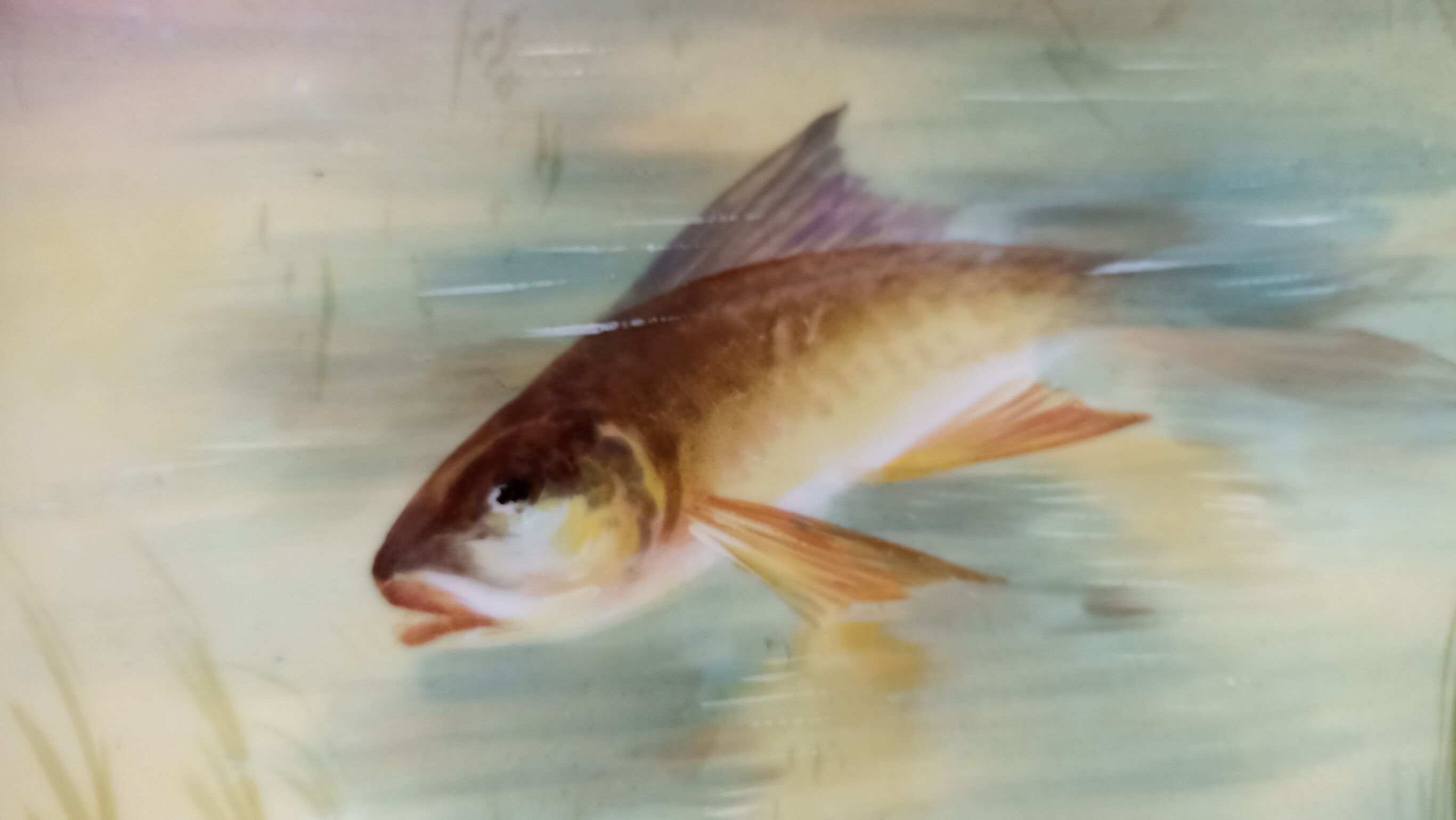 Plate n°3 - Balleroy, mandavy and de Mavaleix 1904-1908