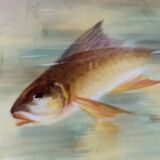 Plate n°3 - Balleroy, mandavy and de Mavaleix 1904-1908