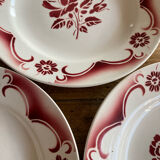 Pink plates iron earth amandinoise