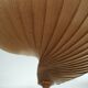 Lampe de plafond Nautilus en bois attribuée à Hans Agne Jakobsson, années 1960.