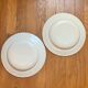 2 blue Salins Iron Earth plates