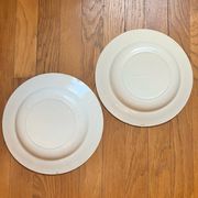 2 blue Salins Iron Earth plates