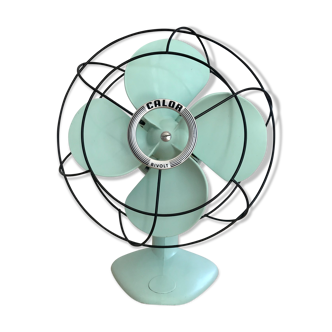 Calor Bivolt fan