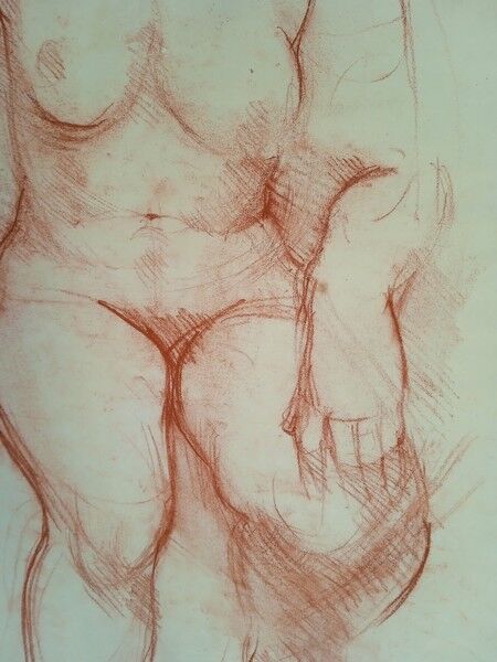 Drawing sanguine study nude female 67/50cm 1950
