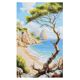 Oil painting of a beach signed. Sea in oil signed. Painting of a beach.