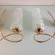 Pair of brass sconces and structured tulip glass 60/70s
