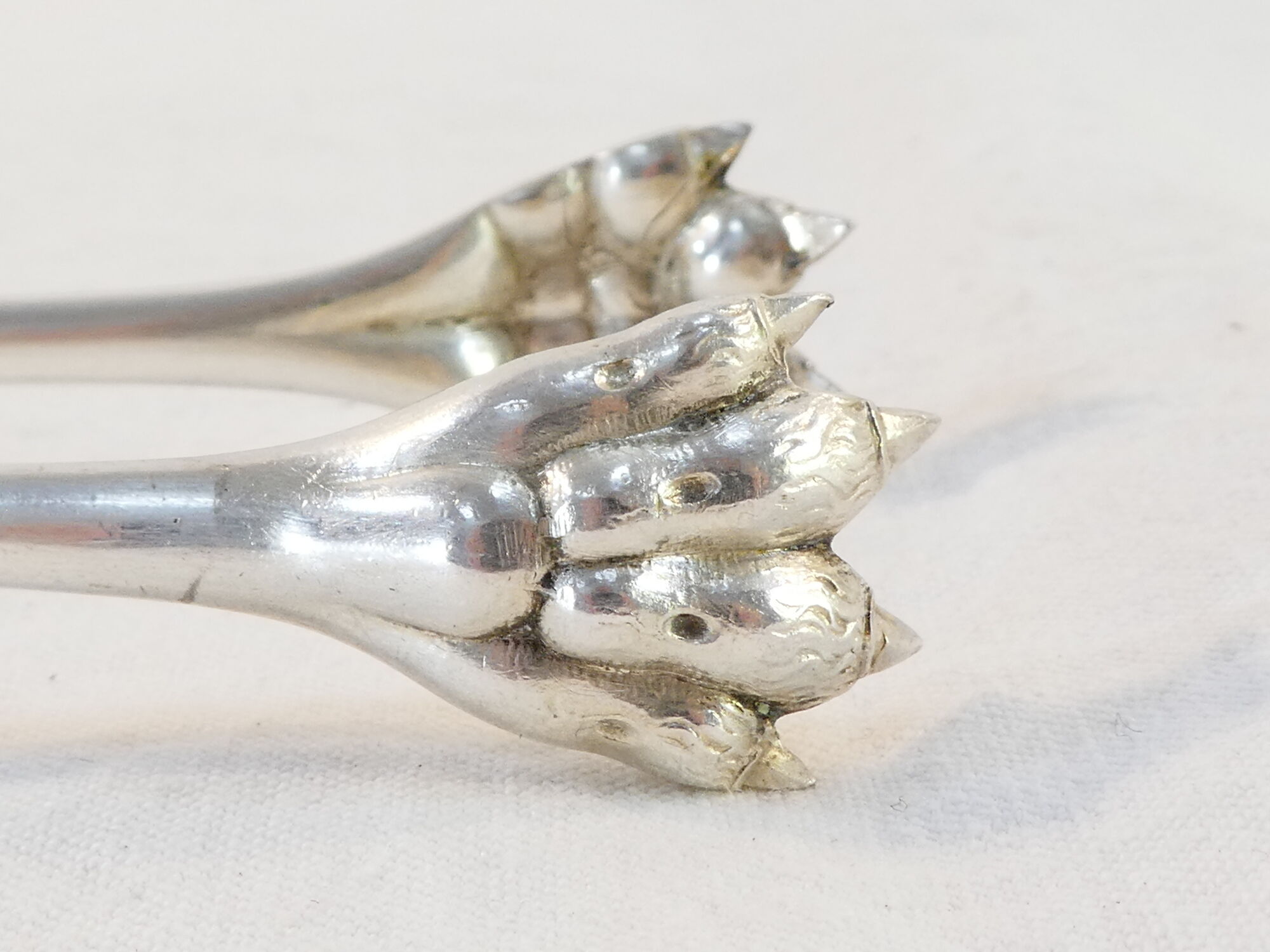 Sugar/Glacon Clamp SFAM in silver metal lion's claw