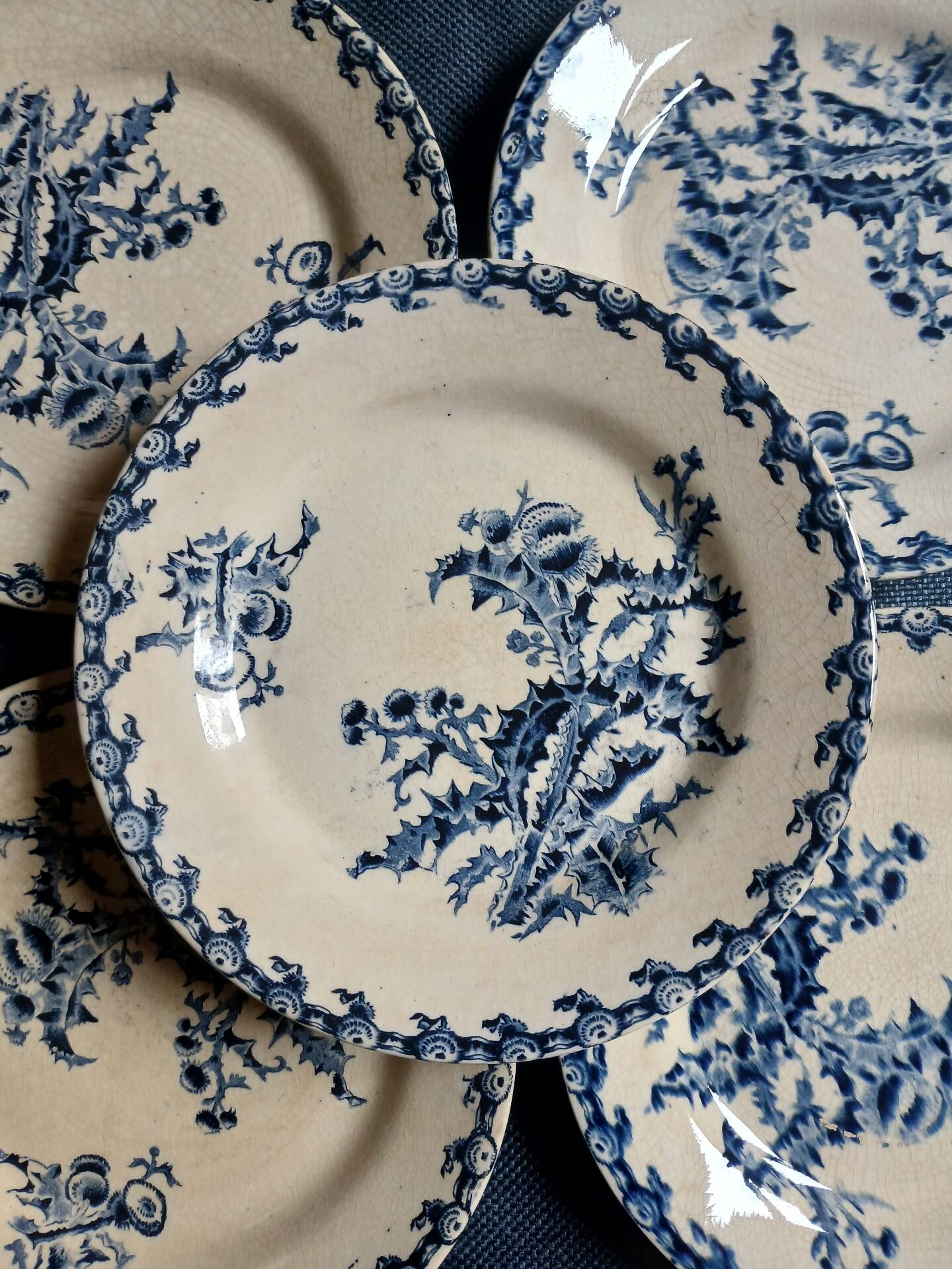 14 dinner plates + 2 "Chardons" dishes from Gien