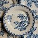 14 dinner plates + 2 "Chardons" dishes from Gien