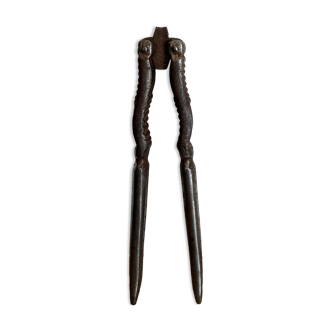 Ancient nutcracker