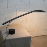Italian desk lamp Dove by Mario Barbaglia and Marco colombo for PAF studio