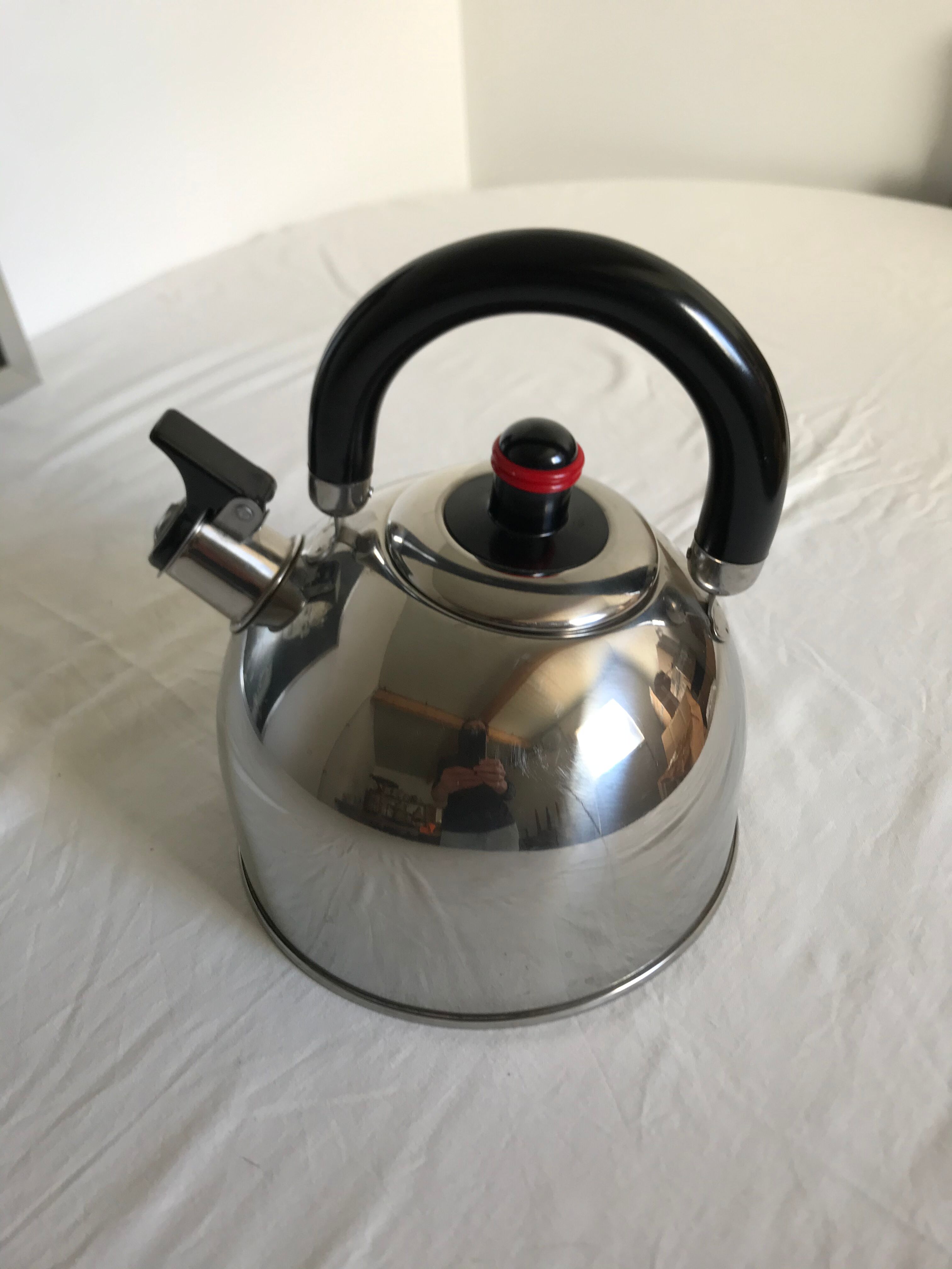 Stainless steel teapot