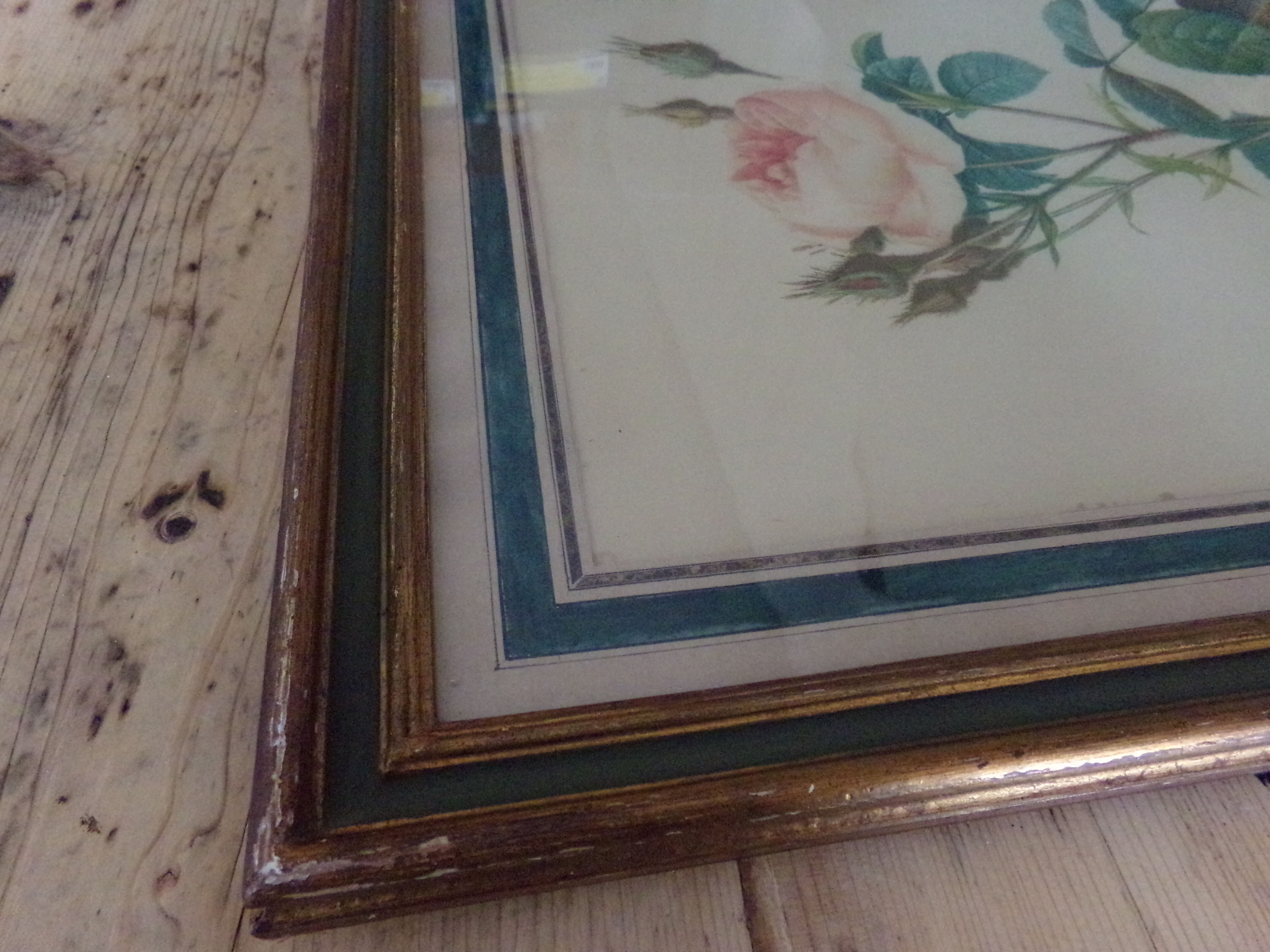 Framed antique lithograph by Pierre-Joseph Redouté