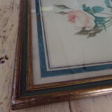 Framed antique lithograph by Pierre-Joseph Redouté