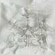 5 crystal champagne glasses