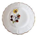 6 Assiettes Creuses Porcelaine Française Sarreguemines Fleurs Marron
