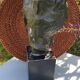Diane bust in platre