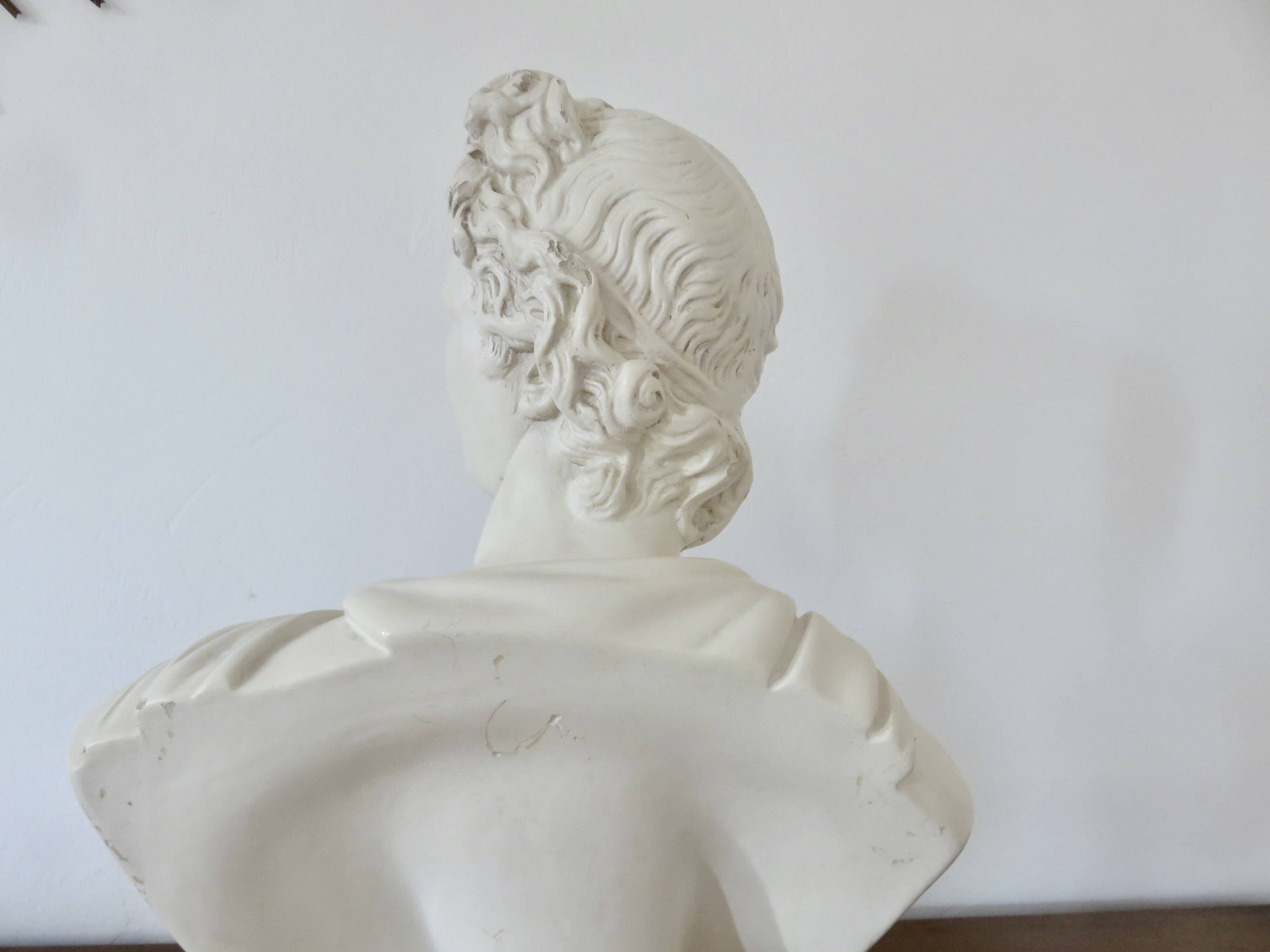Plaster bust "apollo" 52cm. early 20th century