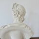 Plaster bust "apollo" 52cm. early 20th century