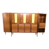 Monumental Wooden Cabinet with Parchment Panels by Gio Ponti, Italy