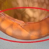 Turtle night light, patinated bronze and glass paste 1980