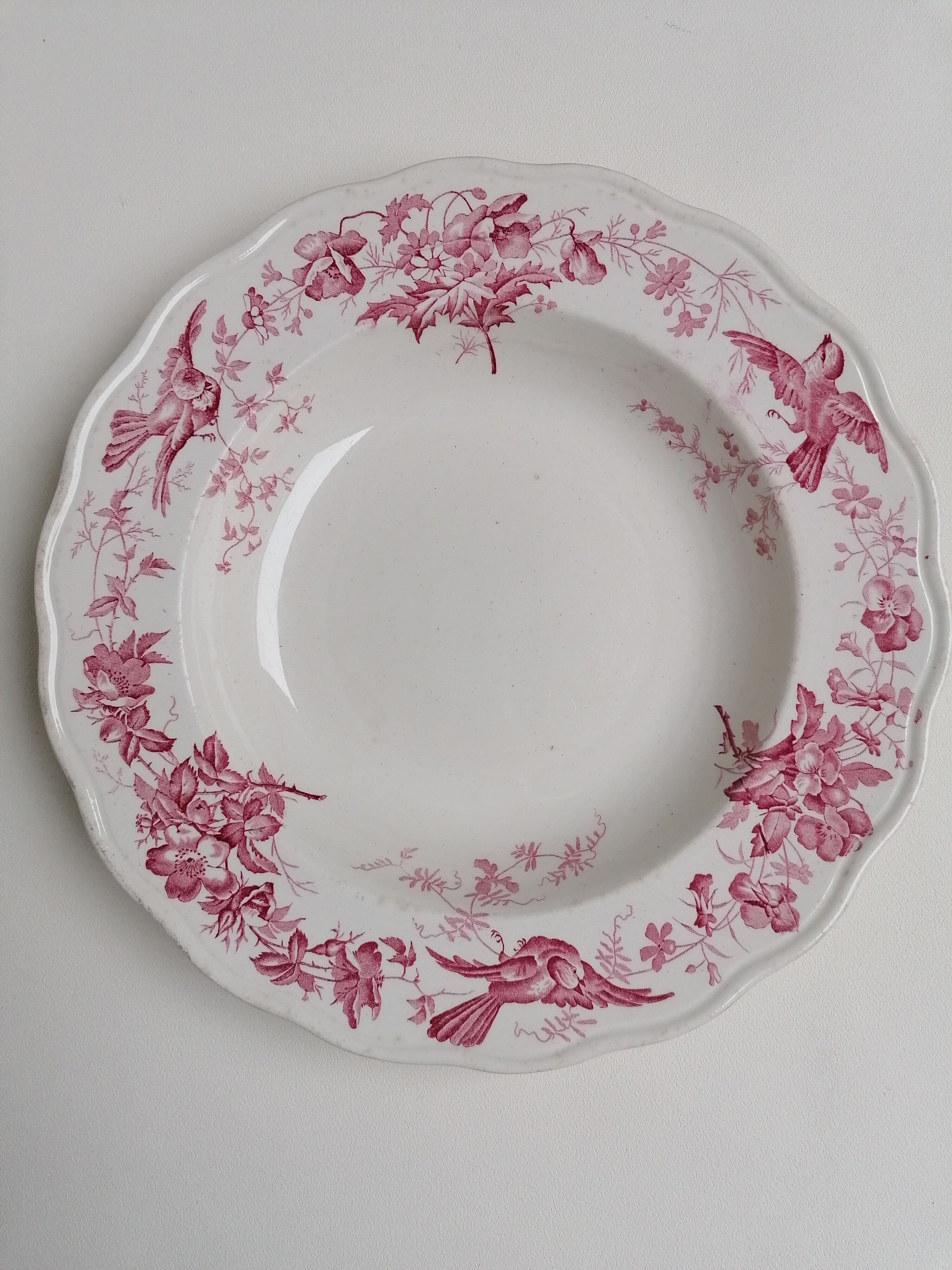 6 hollow plates English earthenware Cauldon England from the great depot E. Bourgeois