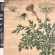 Old botanical plate of the house Deyrolle "The carrot"