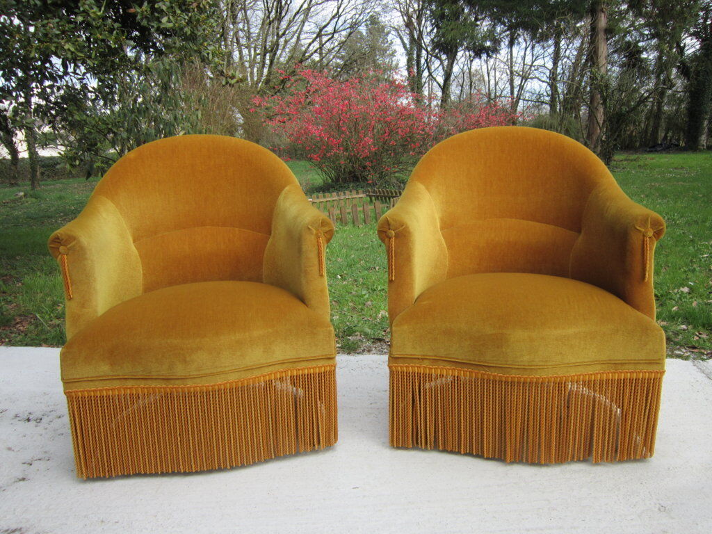 Pair of armchairs velvet Toad