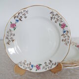 6 flat flowered plates