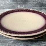 Introducing plates purple poem Jars