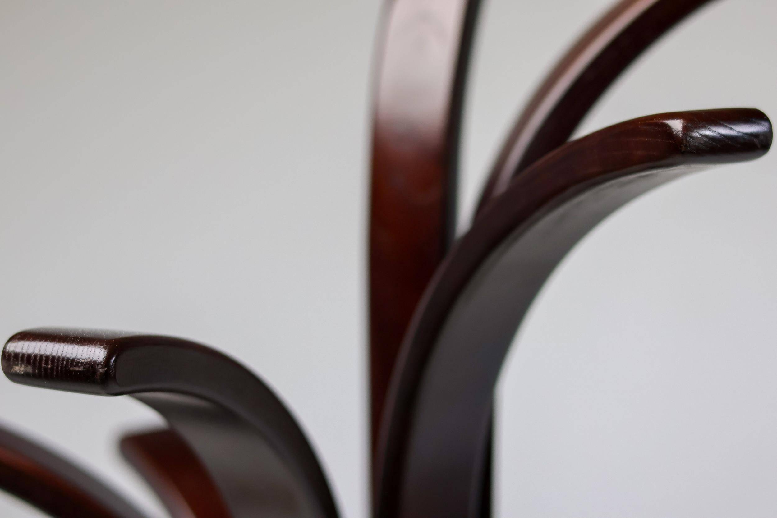 Pair of coat racks in plywood by Carlo Cerbaro for Porada