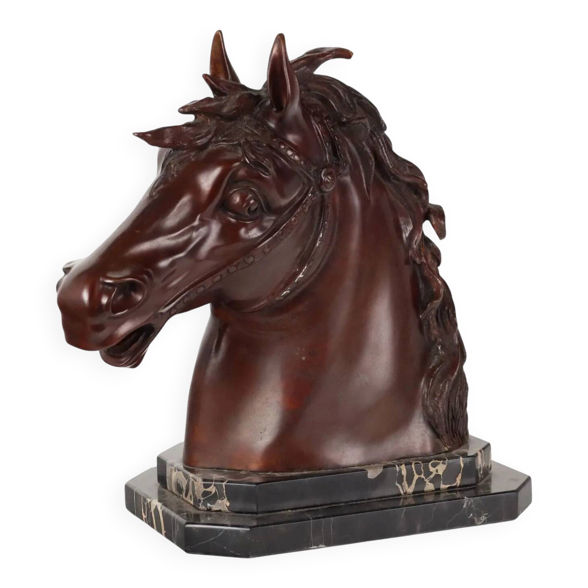 Modern bronze sculpture of a horse's head F.G. Ruocco Naples 20th century