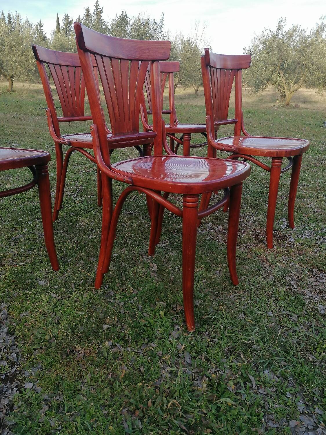 Set of 6 vintage bentwood bistro chairs