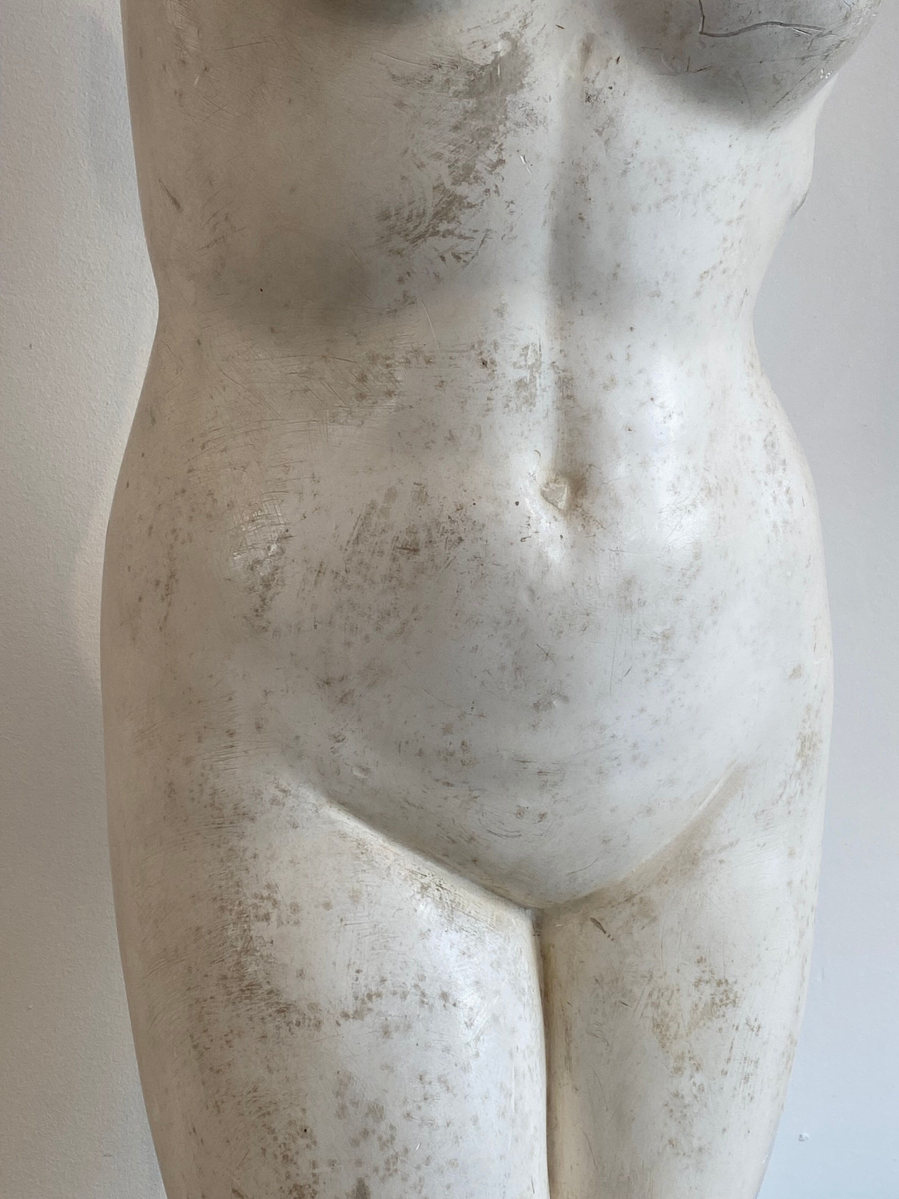 Bust in platre Atelier du Louvre