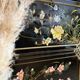 Chinese secretarial cabinet lacquered black Asian