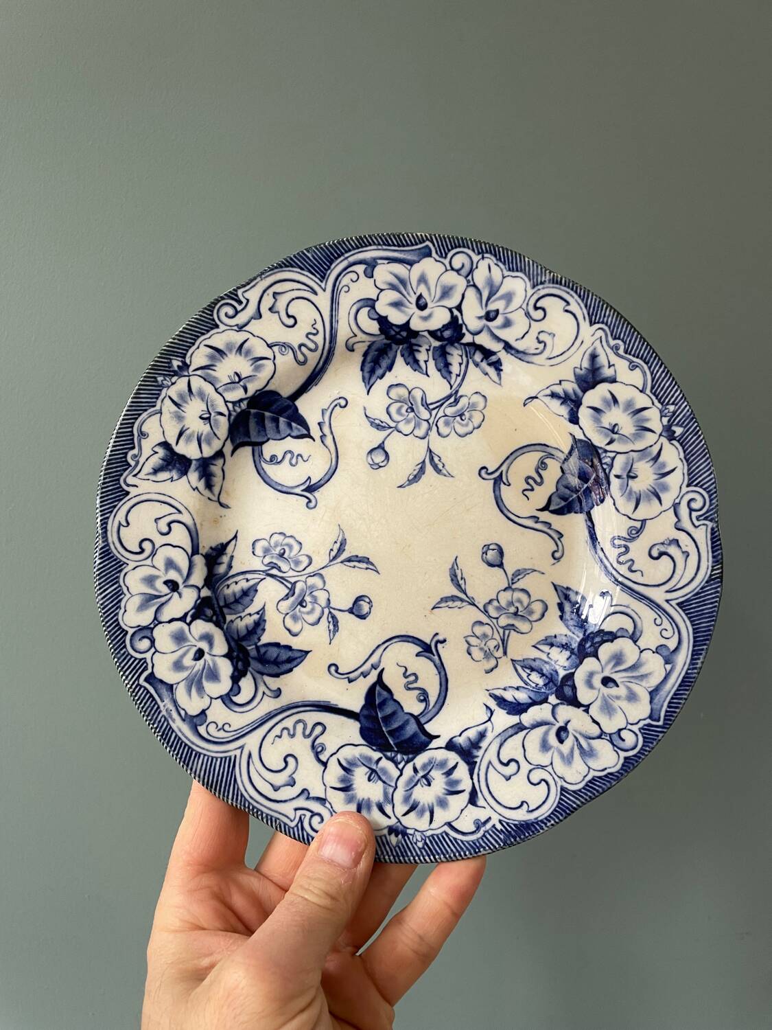 Series of 9 Creil Montereau plates, Flora model