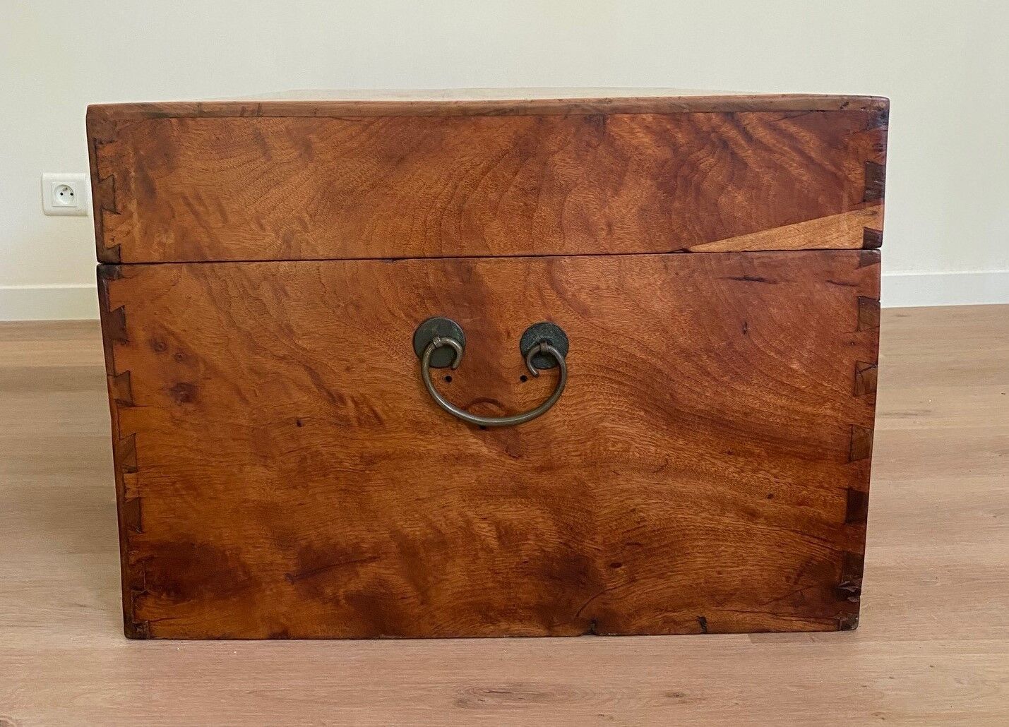 Chinese chest in camphor tree