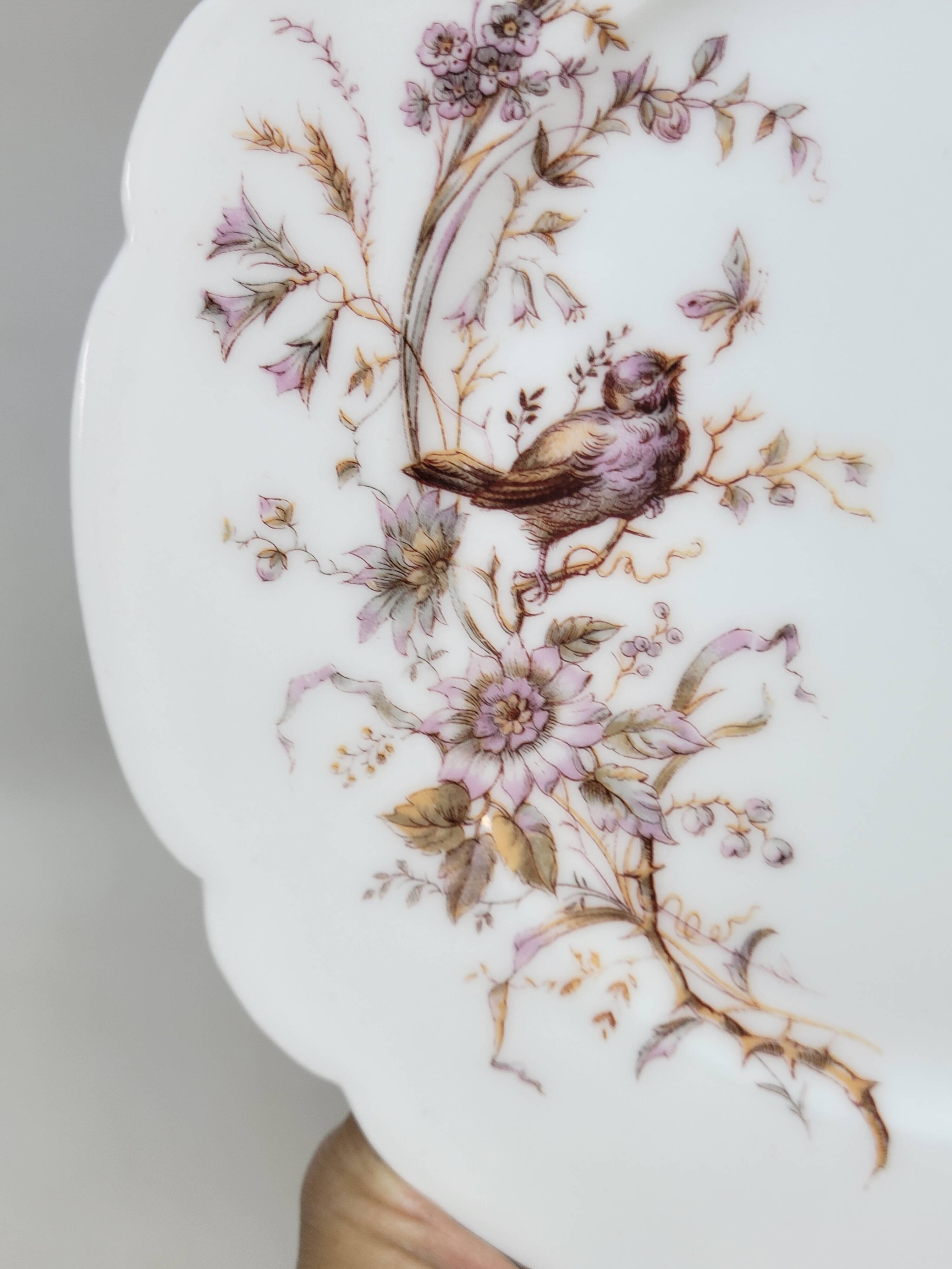 8 Superb Antique 19th Century Plates Decorated with Birds on Branches