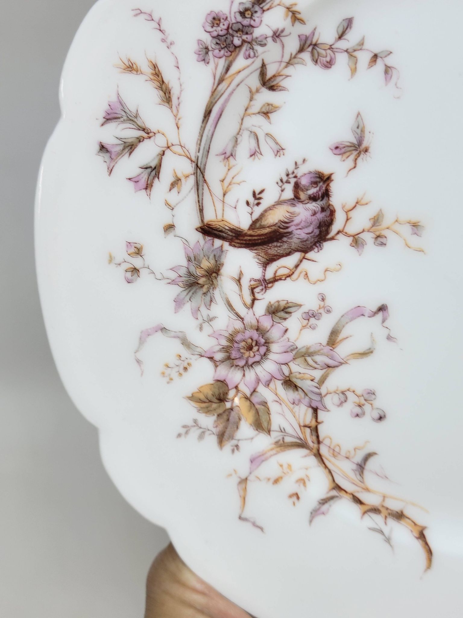 8 Superbes Assiettes Anciennes XIXème Décor Aux Oiseaux Sur Des Branches