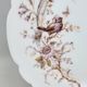 8 Superb Antique 19th Century Plates Decorated with Birds on Branches