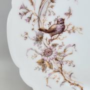 8 Superbes Assiettes Anciennes XIXème Décor Aux Oiseaux Sur Des Branches