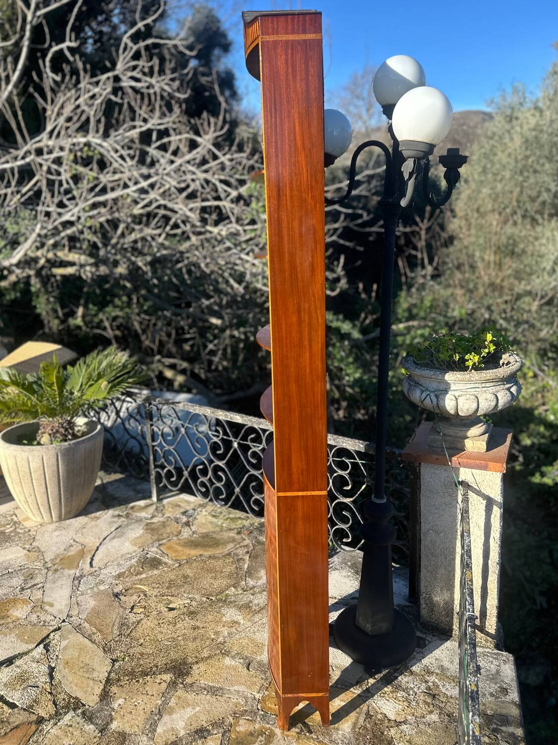 Flamed Mahogany Library in Regency style.