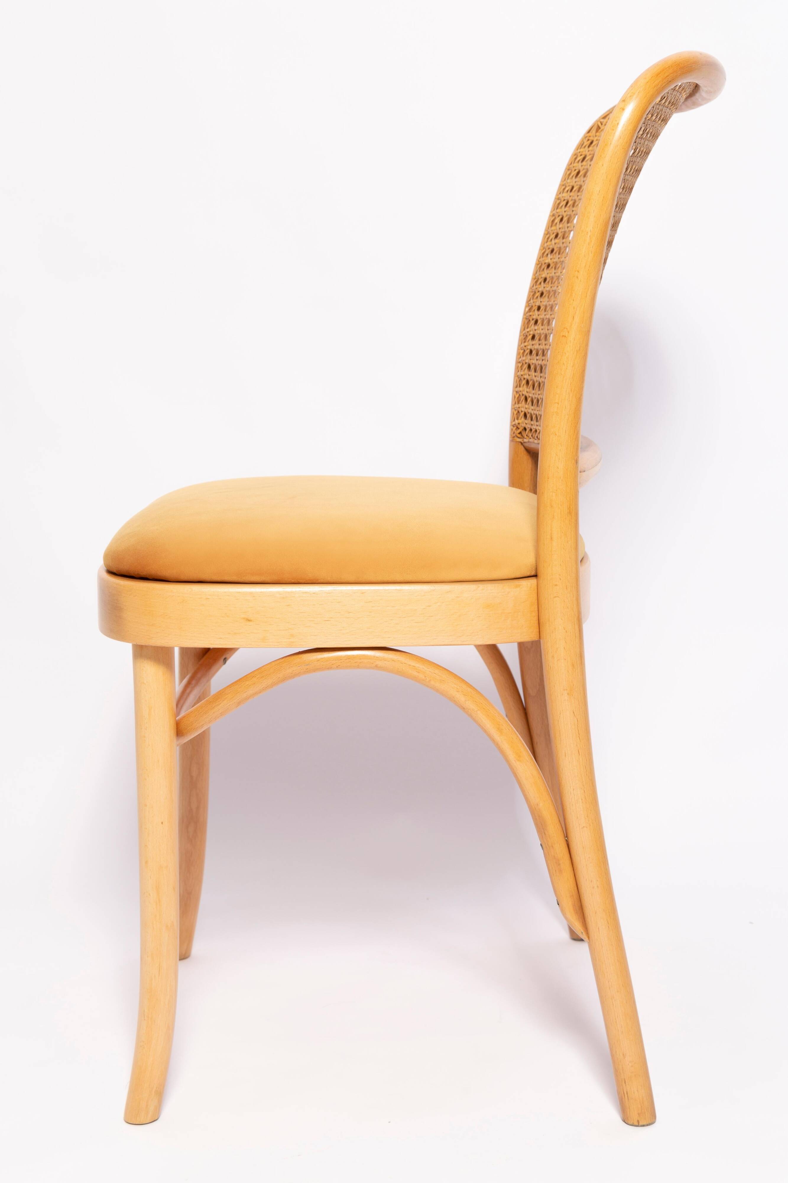 Thonet chair in rattan and yellow velvet wood from the mid-century, Europe, 1960s.