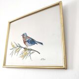 Golden frame bird