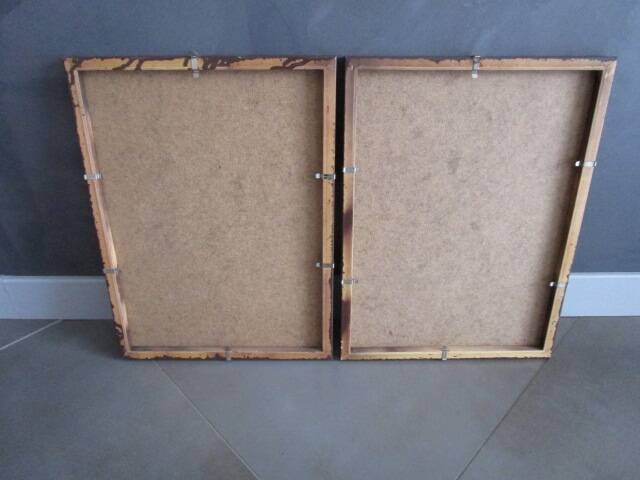 Pair of framed antique bird prints