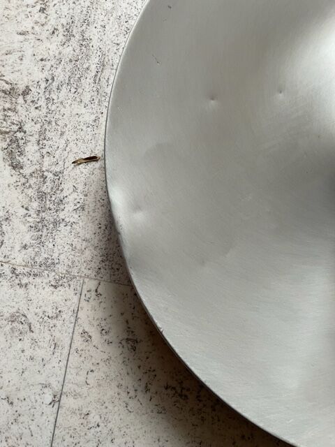 Space Age wall lamp, 70s