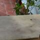 Golden stucco mirror 55 x 60 cm