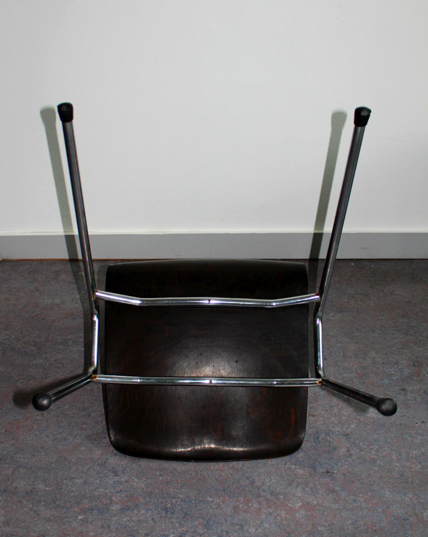 Ensemble de 6 chaises pagholz bicolores par Adam Stegner, 1960