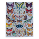 The butterflies of Europe – original naturalist plate, 1930 Adolphe Millot